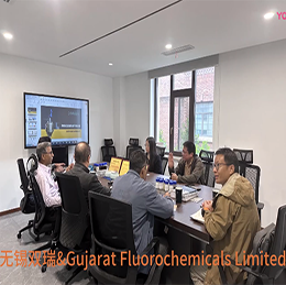 歡迎印度Gujarat Fluorochemicals Limited公司訪問(wèn)無(wú)錫雙瑞